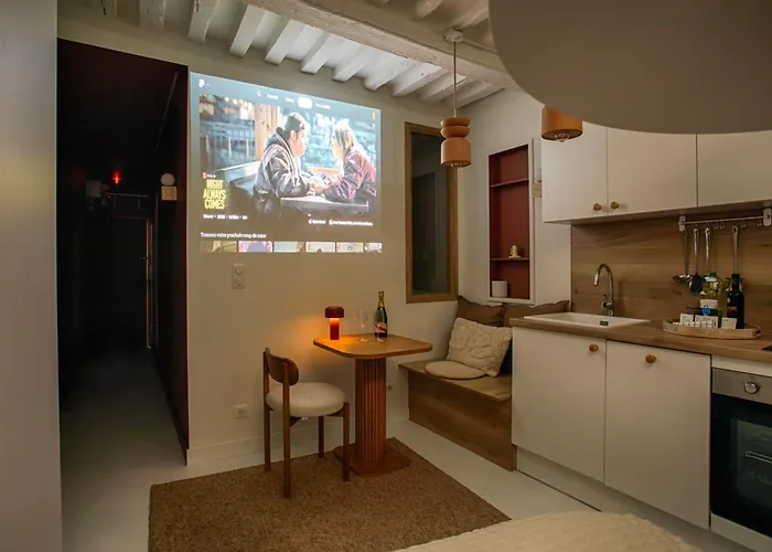 Lejlighed Le Saint-sauveur - Chaleureux 2 Pieces - Videoprojecteur